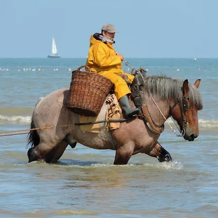 La Boheme Koksijde